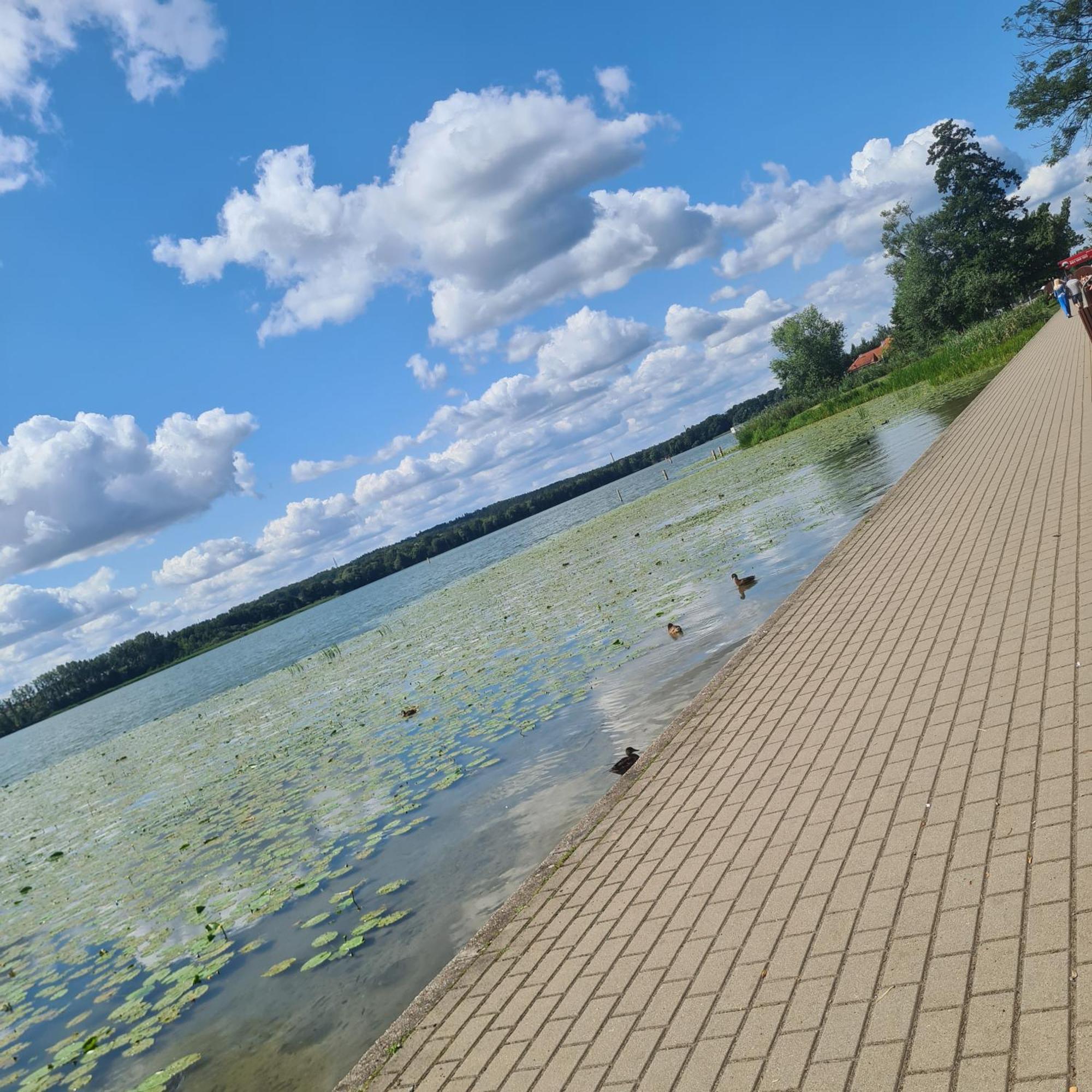 Apartament Villa Klar Ostróda Kültér fotó